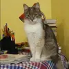 Отзыв от Вероника Астафьева